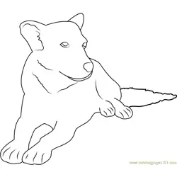 White Face Dog Free Coloring Page for Kids