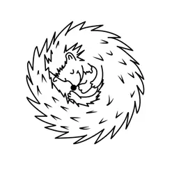 Sleeping Hedgehog Curled Up Free Coloring Page for Kids