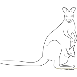 Awesome Kangaroo Free Coloring Page for Kids