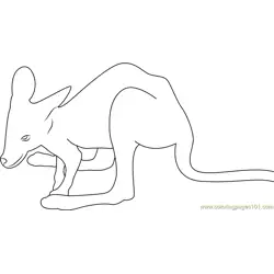 Baby Kangaroo Free Coloring Page for Kids