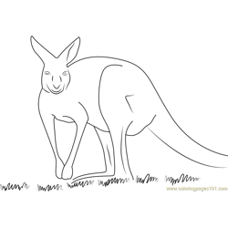 Guardian Angel Kangaroo Free Coloring Page for Kids