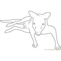 Kangaroo Face Free Coloring Page for Kids