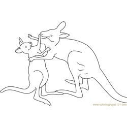Kangaroo Fighting Free Coloring Page for Kids