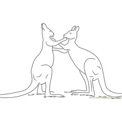Kangaroo Play Fighting Free Coloring Page for Kids