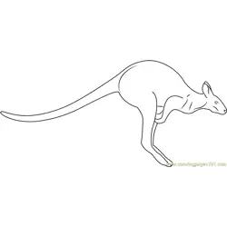 Kangaroo Running Free Coloring Page for Kids