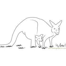 Kangaroo and Baby Free Coloring Page for Kids