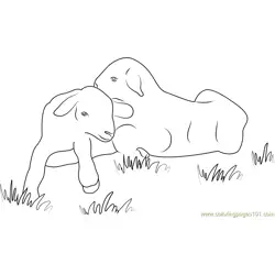 Baby Lamb Free Coloring Page for Kids