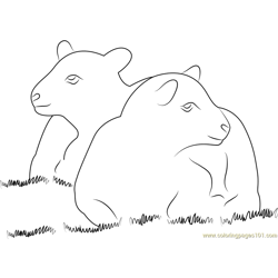 Lamb Back to Back Free Coloring Page for Kids