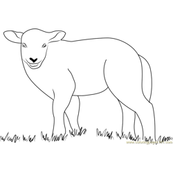Lamb Nature's on the High Free Coloring Page for Kids