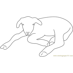 Lamb See Free Coloring Page for Kids