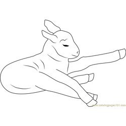 Lamb Sleeping Free Coloring Page for Kids