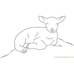 Lamb Free Coloring Page for Kids