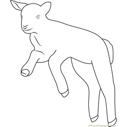 Spring Lamb Free Coloring Page for Kids