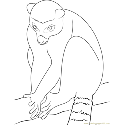 Lemur Look At Free Coloring Page for Kids