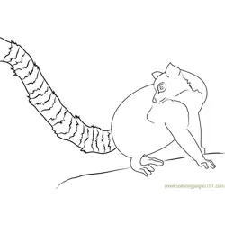 Lemur Tail Free Coloring Page for Kids