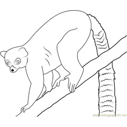 Lemur Free Coloring Page for Kids