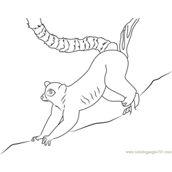 Ring Lemur Free Coloring Page for Kids