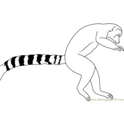 Ring Tail Lemur Leaping Free Coloring Page for Kids