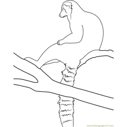 Ring Tailed Lemur With Long Tail Free Coloring Page for Kids