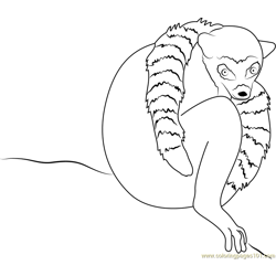 Ring Tailed Lemur Free Coloring Page for Kids