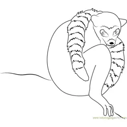 Ring Tailed Lemur Free Coloring Page for Kids