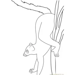 Ring Tails Isalo Free Coloring Page for Kids