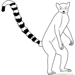 Standing Ring Tailed Lemur Berenty Free Coloring Page for Kids