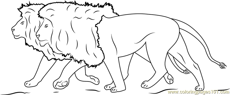 Lions Running Coloring Page for Kids - Free Lion Printable Coloring