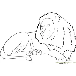 Lion Sitting Free Coloring Page for Kids