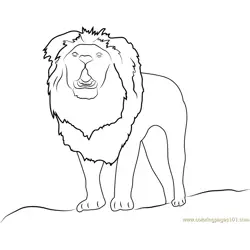 Lion Up Free Coloring Page for Kids