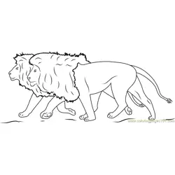 Lions Running Free Coloring Page for Kids