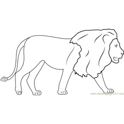 Lions Walking Free Coloring Page for Kids