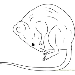 Another Taxidermy Sleeping Mouse Free Coloring Page for Kids