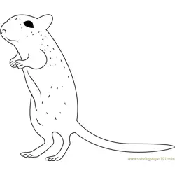 Mouse Up Free Coloring Page for Kids