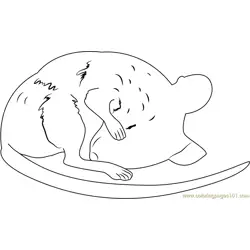 Taxidermy Sleeping Mouse Free Coloring Page for Kids