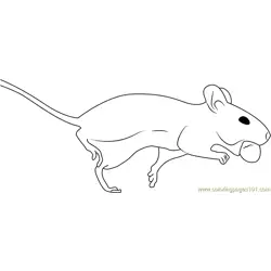 White Mouse Running Free Coloring Page for Kids