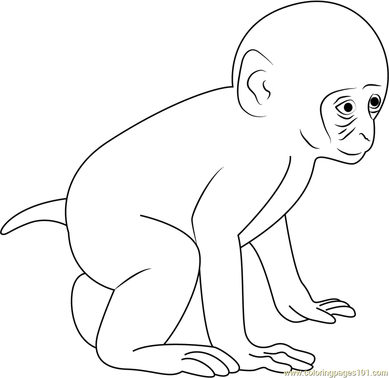 Baby Monkey Coloring Page for Kids Free Monkey Printable