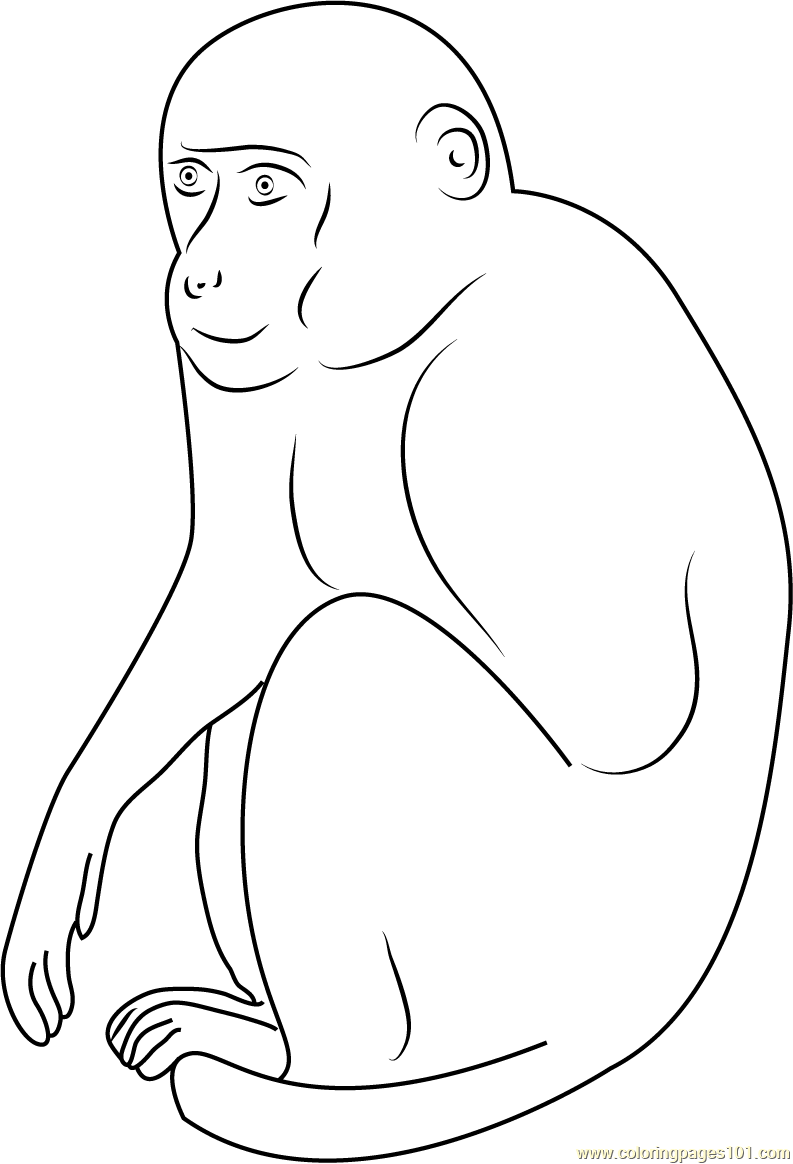 Monkey Look at U Coloring Page for Kids - Free Monkey Printable