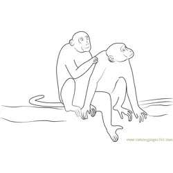 Animal Monkey Indian Free Coloring Page for Kids