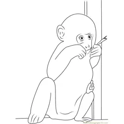 Baby Monkey Eating Leaves Free Coloring Page for Kids