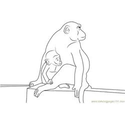 Baby Monkey Matheran India Free Coloring Page for Kids