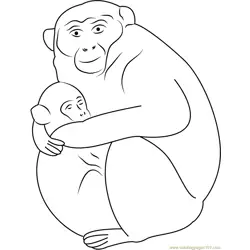 Baby Monkey Sleeping with Mother Free Coloring Page for Kids