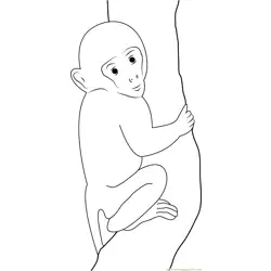 Baby Monkey Up Free Coloring Page for Kids