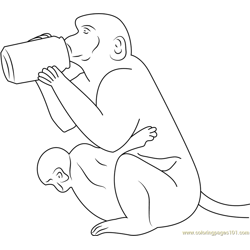 Monkey Drinking Water Free Coloring Page for Kids