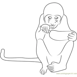 Monkey Eating Banana Free Coloring Page for Kids