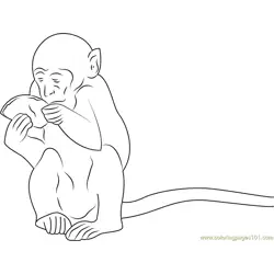 Monkey Eating Sweet Food Free Coloring Page for Kids