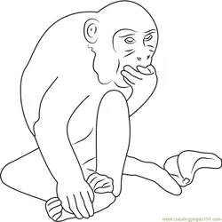 Monkey Eating Up Look Free Coloring Page for Kids