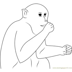 Monkey Eating Free Coloring Page for Kids