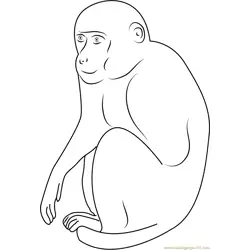 Monkey Look at U Free Coloring Page for Kids