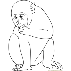 Monkey Looking At Free Coloring Page for Kids